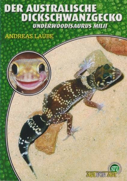 Der Australische Dickschwanzgecko